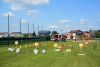 obh_5682