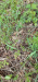 Resized_20220421_110929_277x600