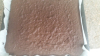 20170512_141932
