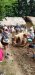 20220615_110054_1280x591