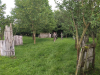 IMG_20240604_1453298_1575x1050