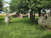 IMG_20240604_1507297_1575x1050