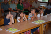 DSC_0338_1195x800